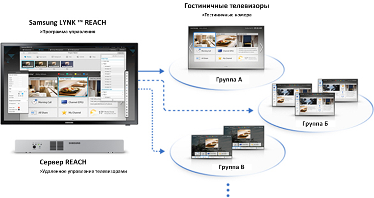Lynk Reach группы контента