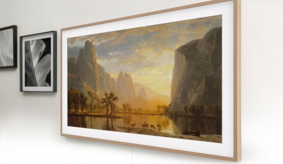 Гостиничный телевизор Samsung 55″ HG55TS030EB